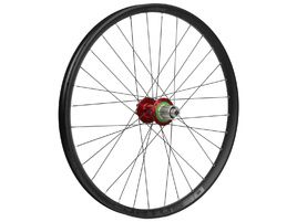 Hope Roue Arrière Fortus 30 Rouge 29" 2024