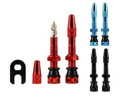 SB3 Valves tubeless (X2) 35 mm MKII