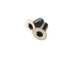Sram Vis acier pour étrier Flat Mount (X2)