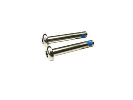 Sram Vis titane pour adaptateur Flat Mount (X2)
