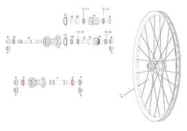 Sram Roulements pour roue avant Rise 60, Roam 30 / 40, Rail 40