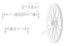 Sram Roulements pour roue arrière Rise 60, Roam 30 / 40, Rail 40