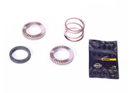 Mavic Kit ratchet + ressort pour corps de roue libre ID360 VTT (24 dents)